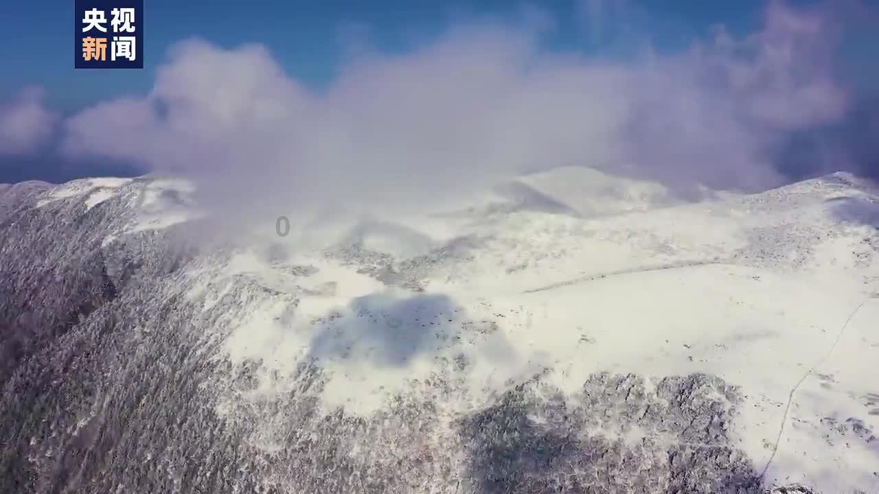 小猫钓鱼游戏龙王版有船
