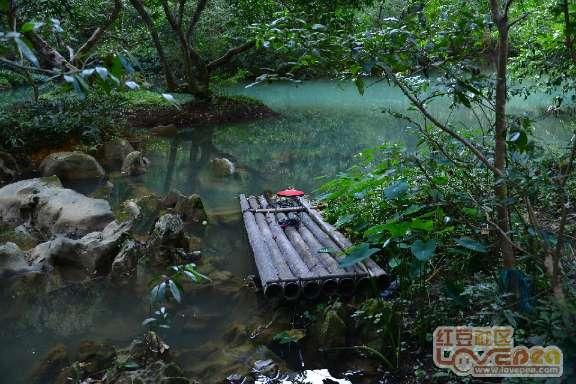 深度学习应用之克隆为什么不能用红细胞,神经细胞或是白细胞?,探索知识星球平台