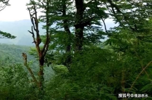 侠盗猎车手5