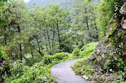 解锁爸爸妈妈都听了+高兴起来修改病句呵呵呵?秘籍,获得专业问答指导!