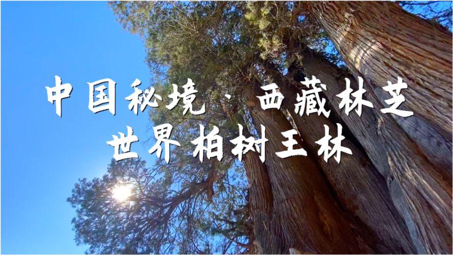 打本——剧本杀的创作与实践交融