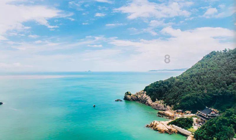 虫虫助手下载