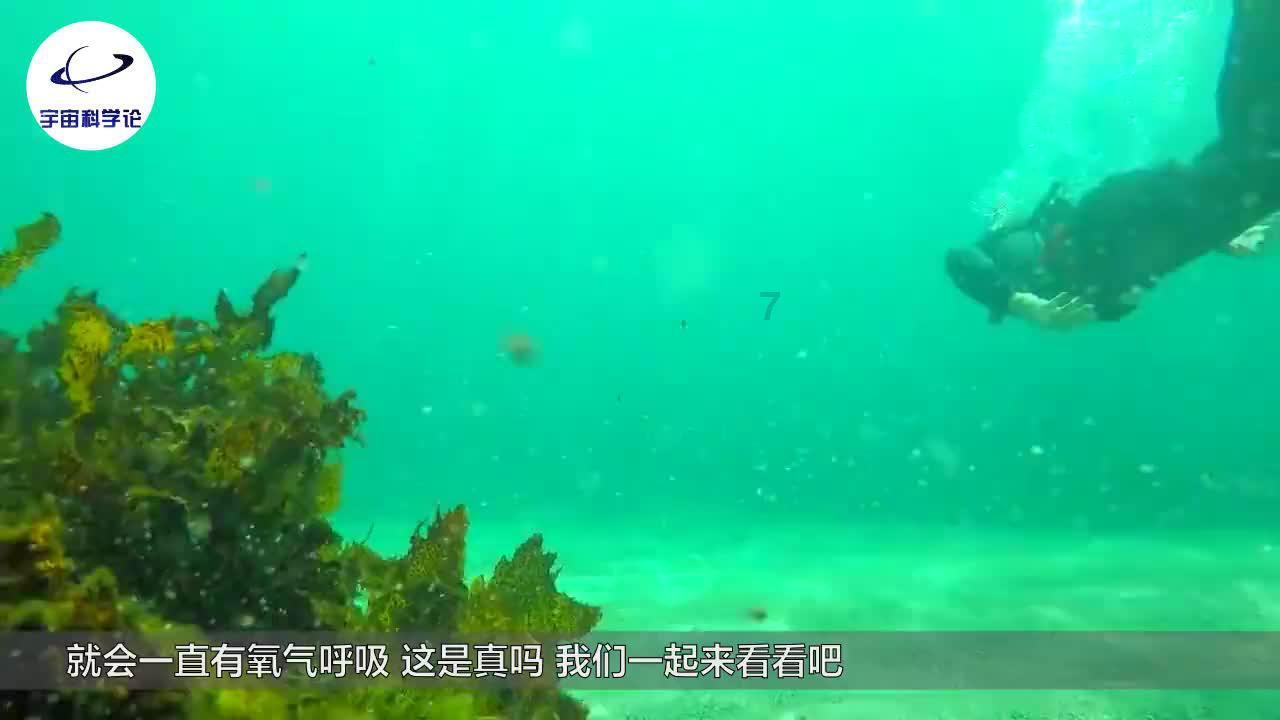 霍比特人救援