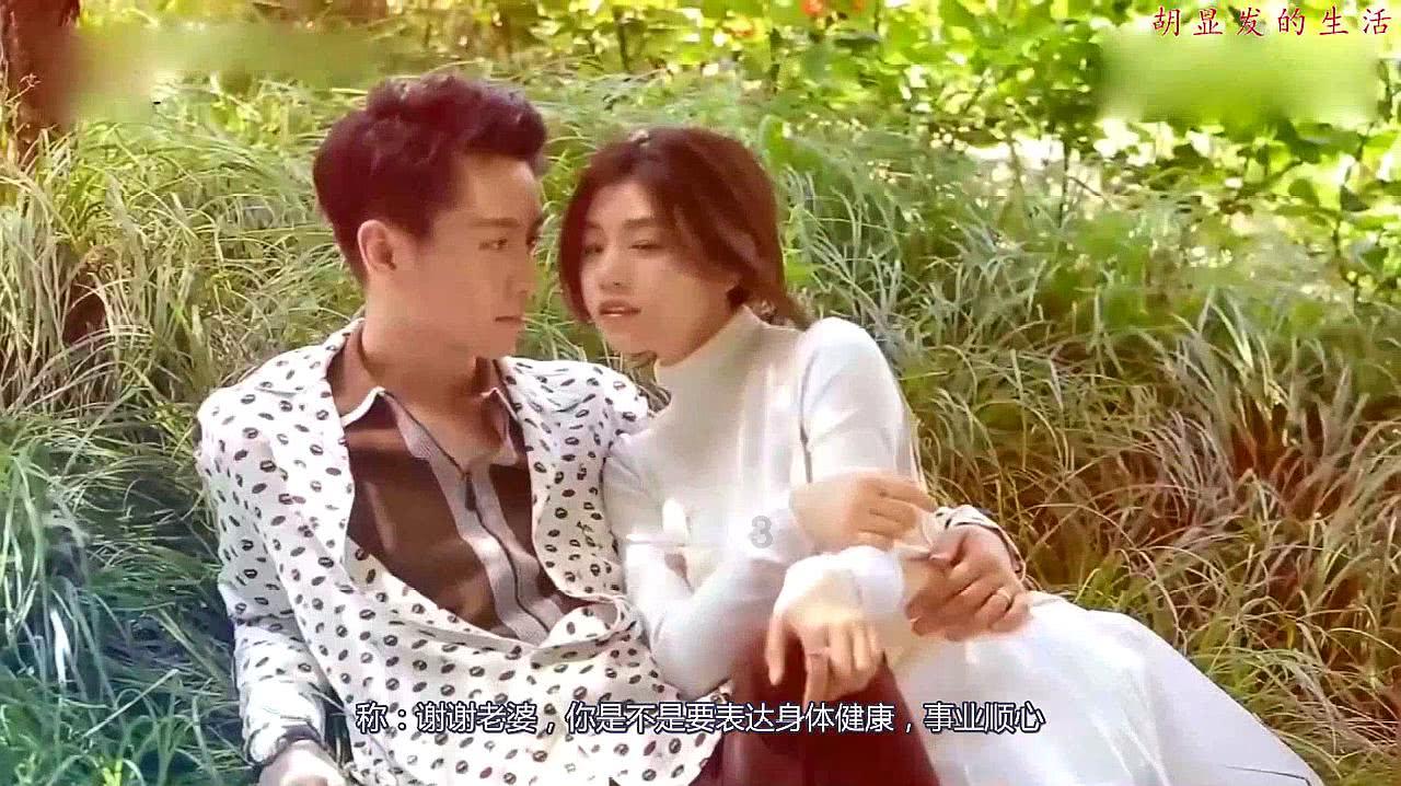 沙皮狗逃离