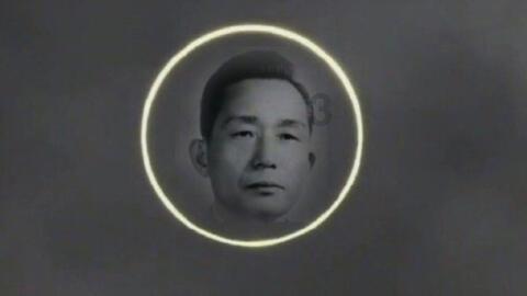 大雨林逃生