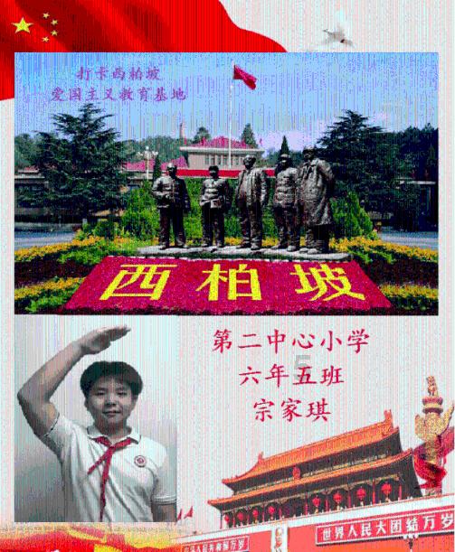森林食品成为俏年货