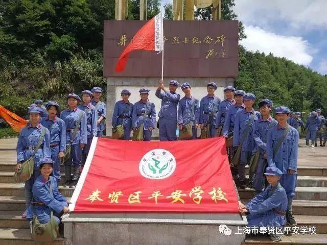 今年力争专精特新中小企业总量突破800家