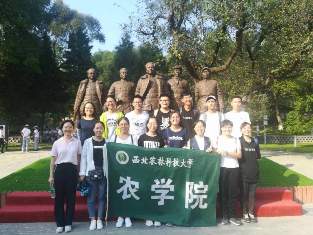 全民剧本大师内置菜单