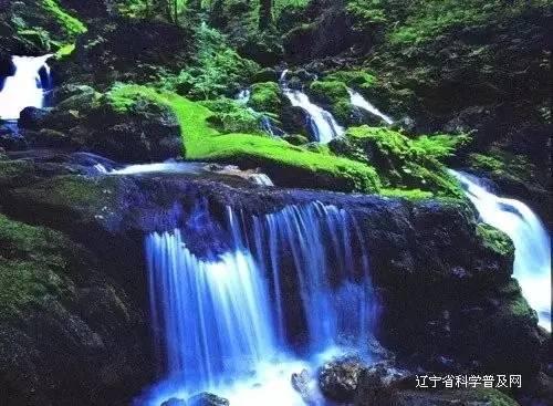 杨贵妃马嵬驿下到底是生是死?打开墓穴,传闻被证实