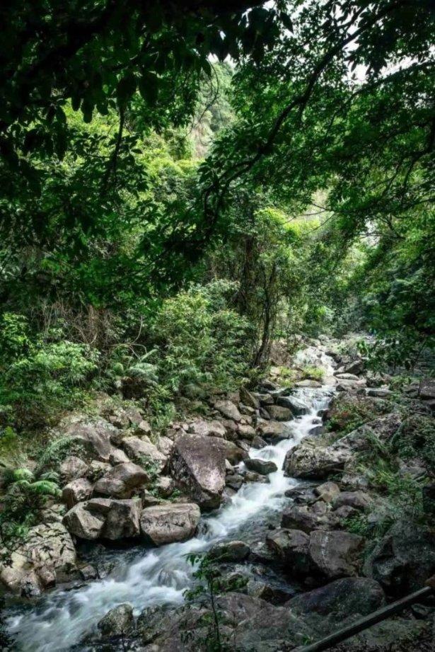 李家超:已与深圳市达成春节期间“通关”特别安排