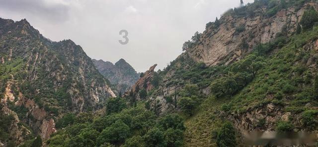 喜羊羊要上200层