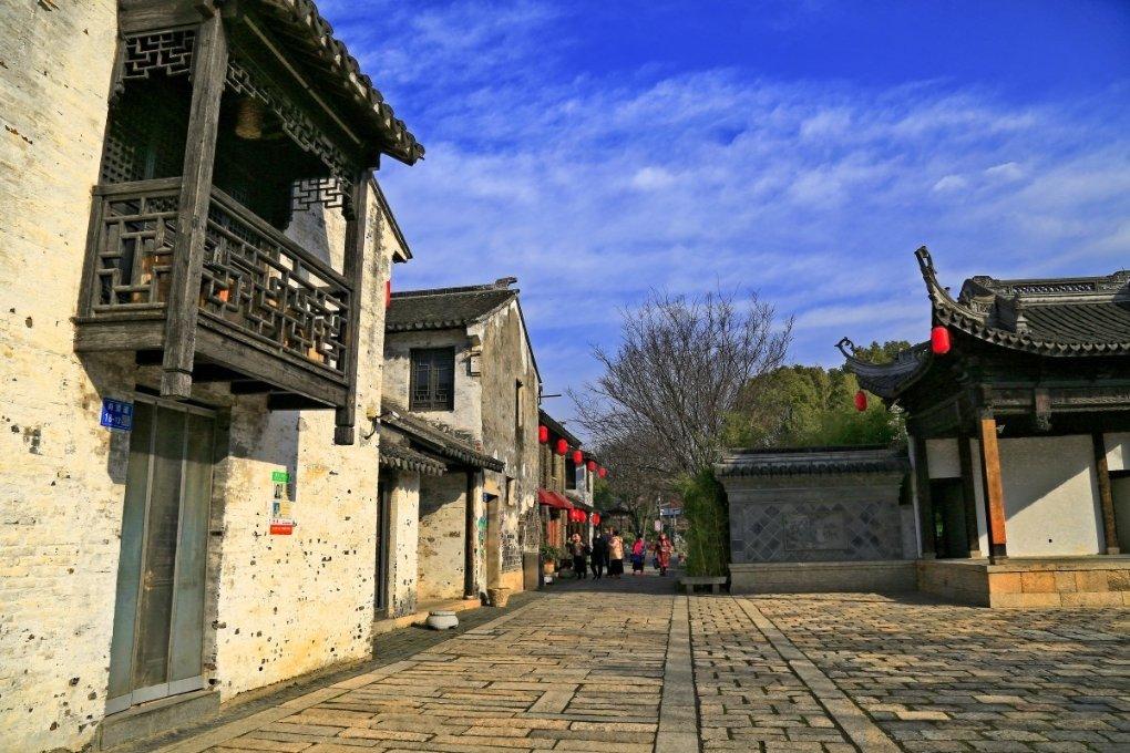 饿狮救援