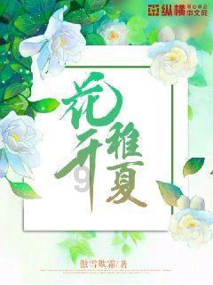 全民剧本大师内置菜单