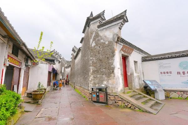 拯救可爱袋鼠